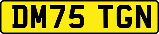 DM75TGN