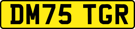 DM75TGR