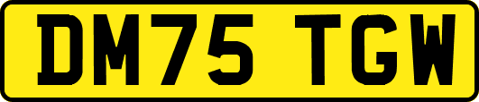 DM75TGW