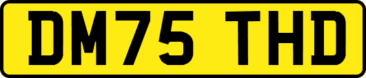 DM75THD