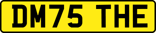 DM75THE