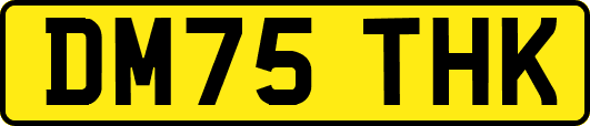 DM75THK
