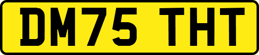 DM75THT