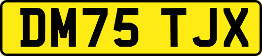 DM75TJX