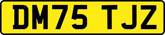 DM75TJZ