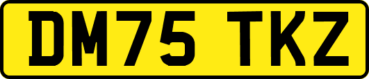 DM75TKZ