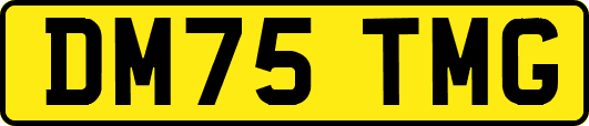 DM75TMG