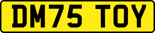 DM75TOY