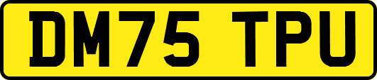 DM75TPU