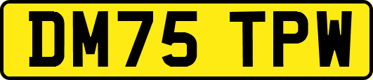 DM75TPW