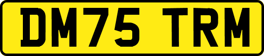 DM75TRM