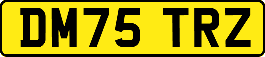 DM75TRZ
