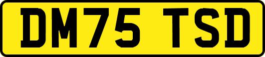 DM75TSD