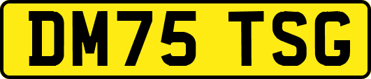 DM75TSG