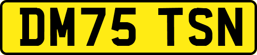 DM75TSN