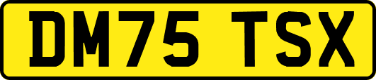 DM75TSX