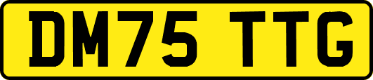 DM75TTG