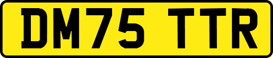 DM75TTR