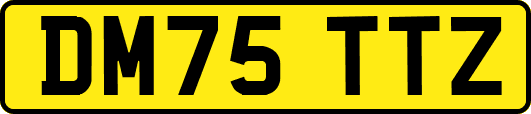 DM75TTZ