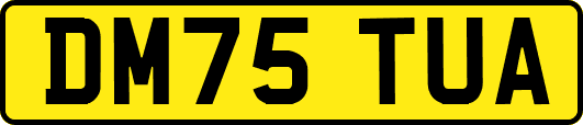 DM75TUA