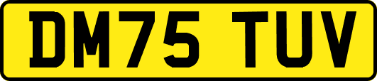 DM75TUV
