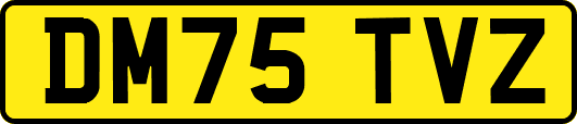DM75TVZ