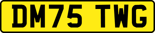 DM75TWG