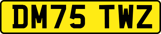 DM75TWZ