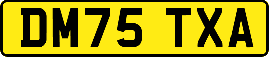 DM75TXA