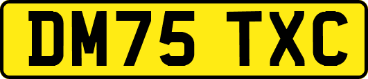 DM75TXC
