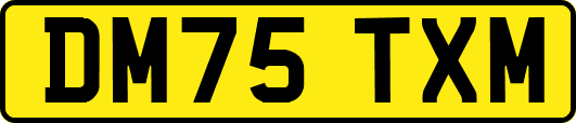 DM75TXM