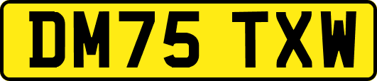 DM75TXW
