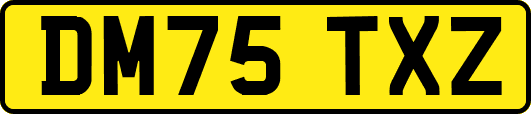 DM75TXZ