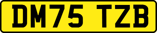 DM75TZB