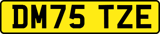 DM75TZE