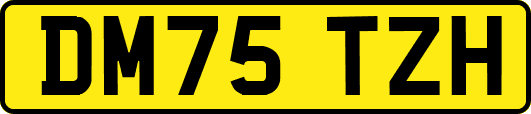 DM75TZH