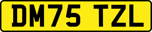 DM75TZL