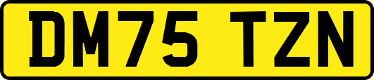 DM75TZN