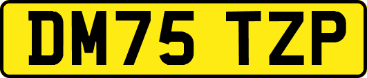 DM75TZP