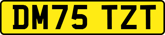 DM75TZT