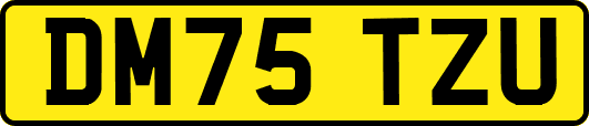 DM75TZU