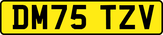 DM75TZV