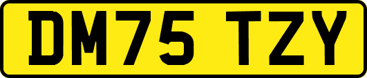 DM75TZY