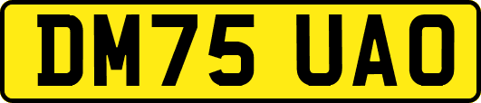 DM75UAO