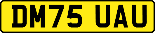 DM75UAU