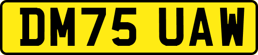 DM75UAW