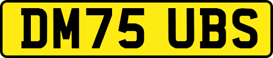 DM75UBS