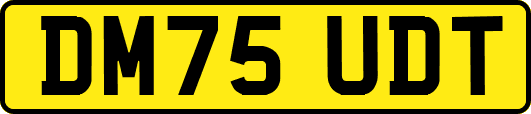 DM75UDT