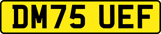 DM75UEF