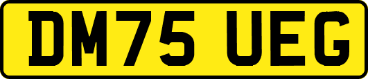 DM75UEG